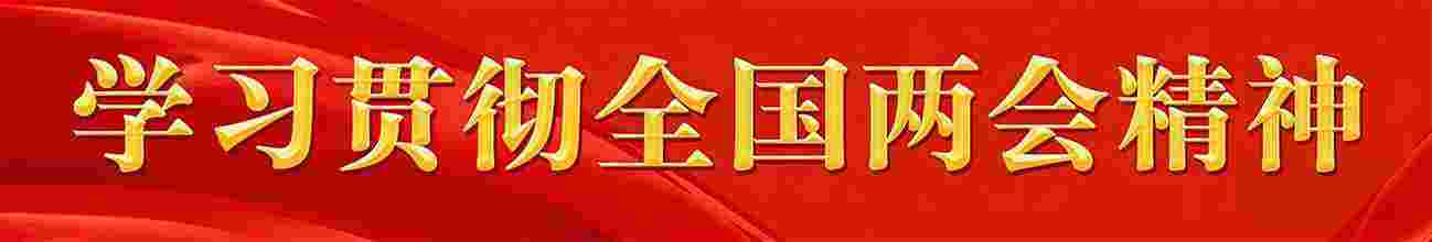 学习贯彻全国两会精神
